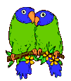 parrots.gif